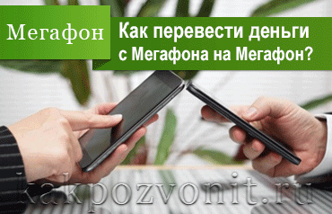 Как перевести деньги с Мегафона на Мегафон